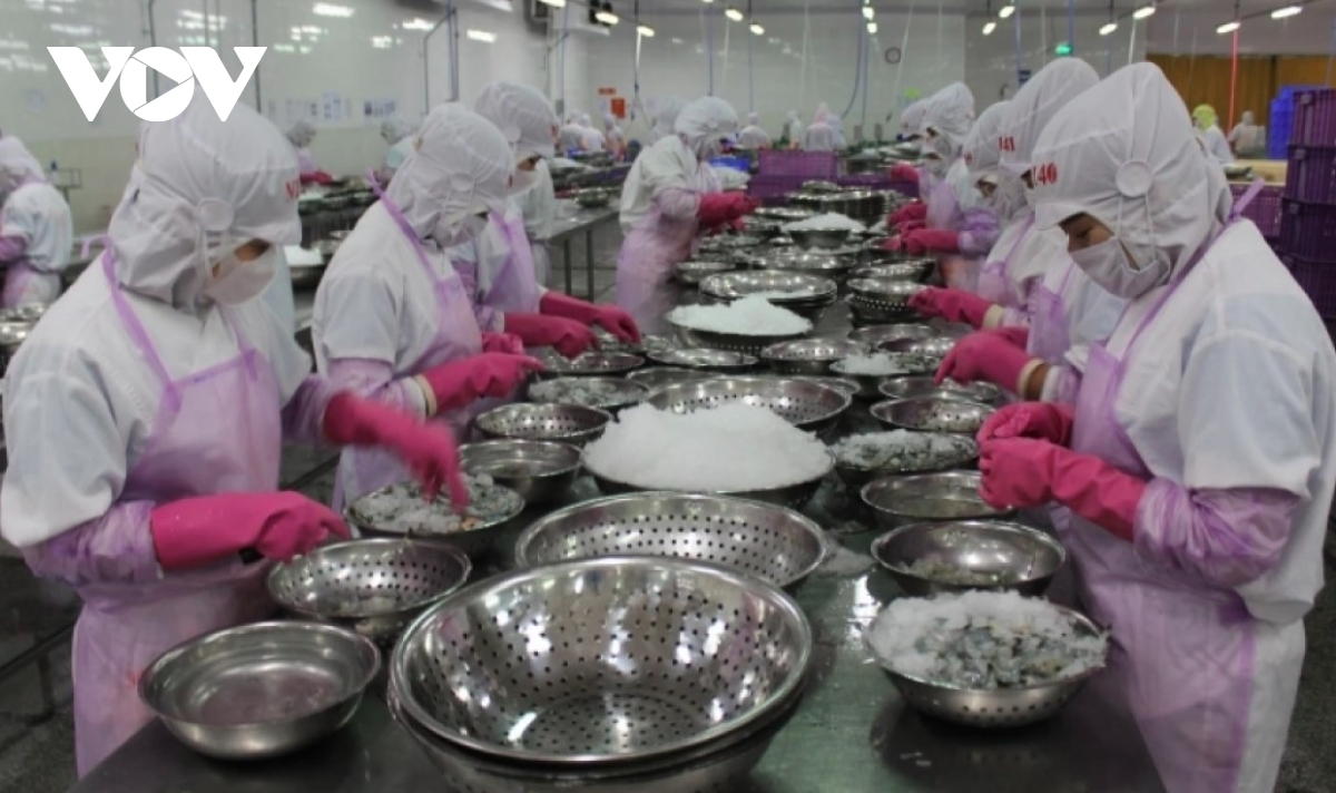 Vietnam remains third-largest seafood supplier to Singapore